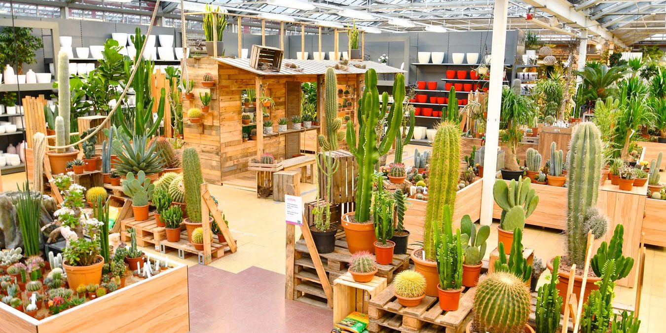 Gartencenter in Dingers