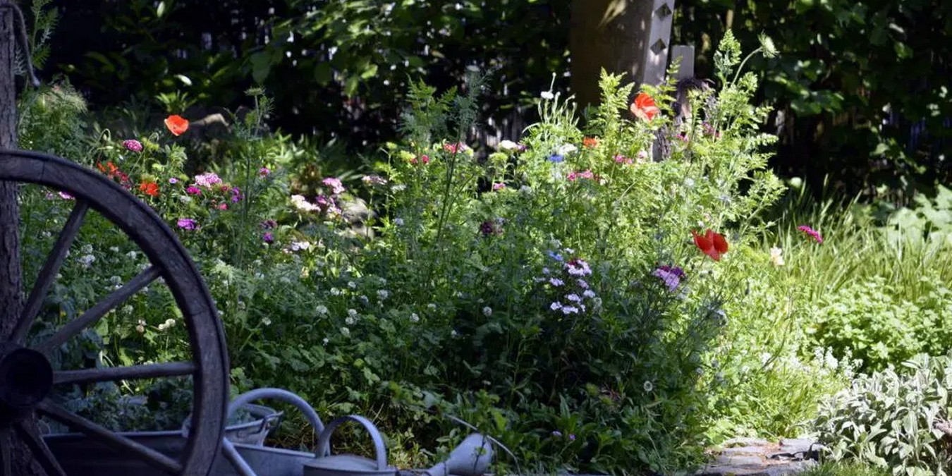 Mittlerweile gibt es in Deutschland rund 910.000 Gartengrundstücke