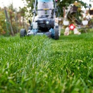 Wofür Gartenarbeit in Deutschland bestraft wird 